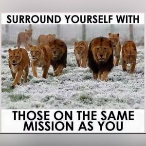 Meet your Posher, Nawhia